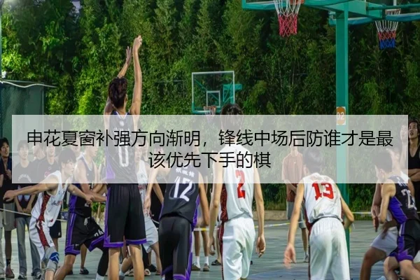 申花夏窗补强方向渐明，锋线中场后防谁才是最该优先下手的棋